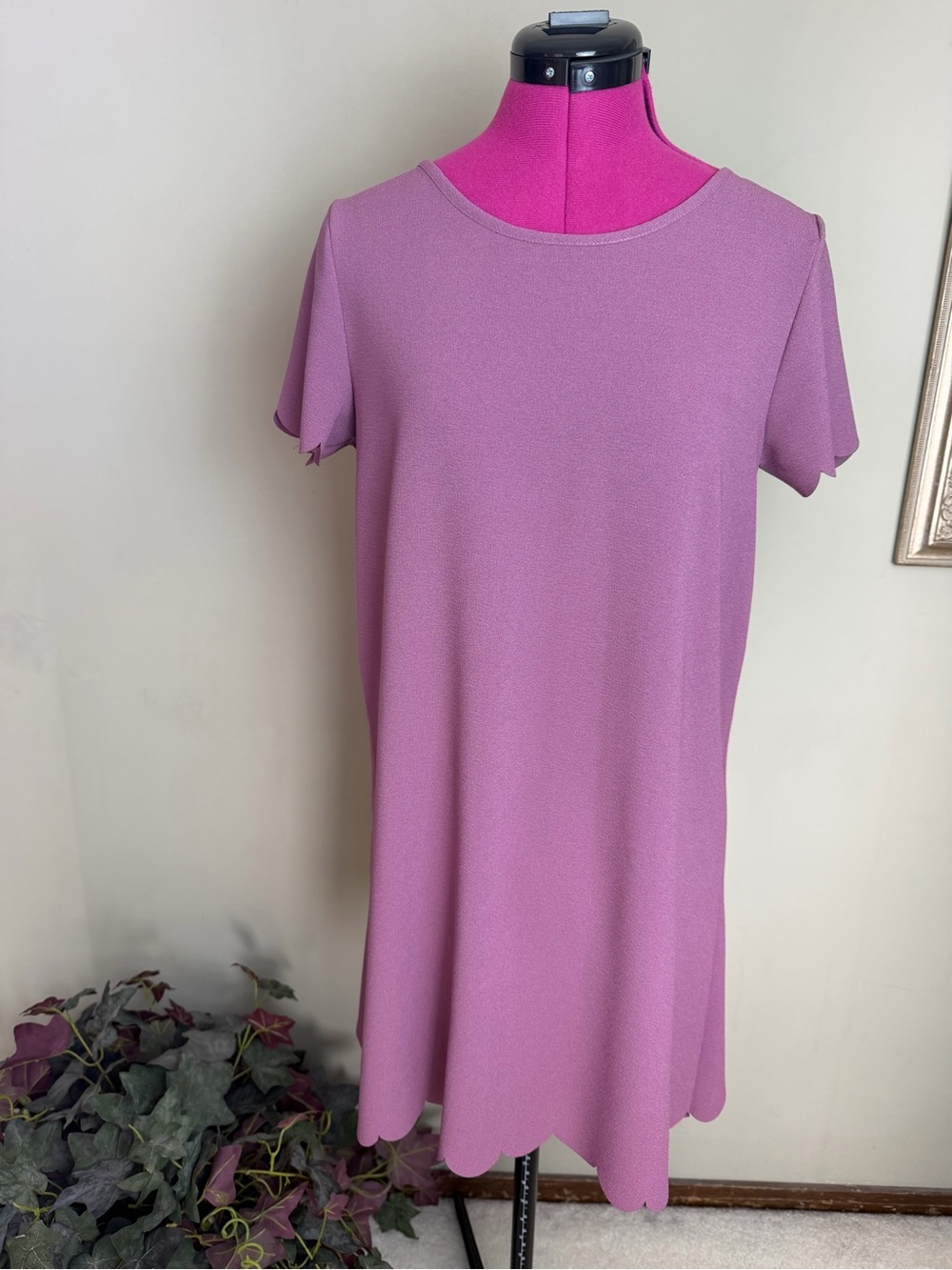 Vanilla Bay Lilac Scallop-Hem Mini Dress Sz S